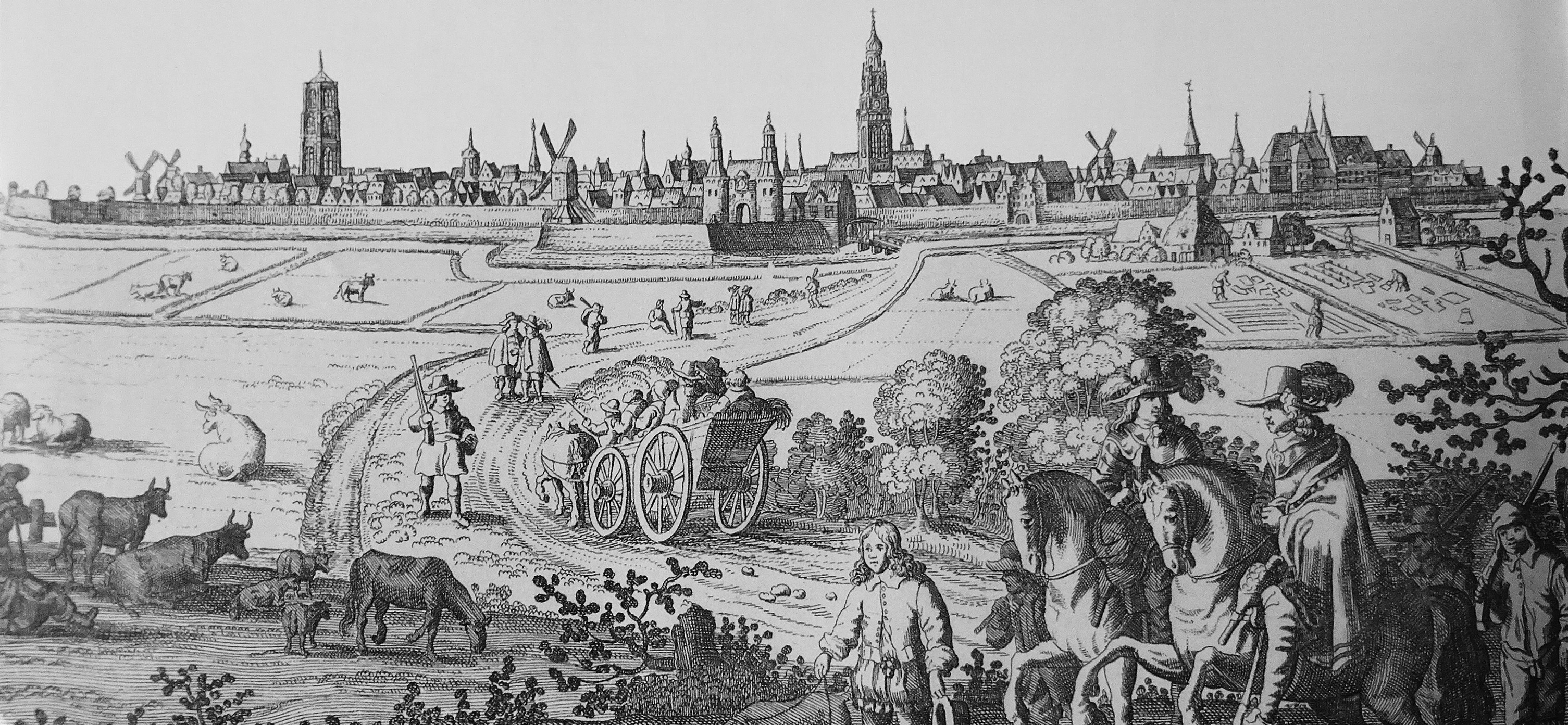 zuid kant